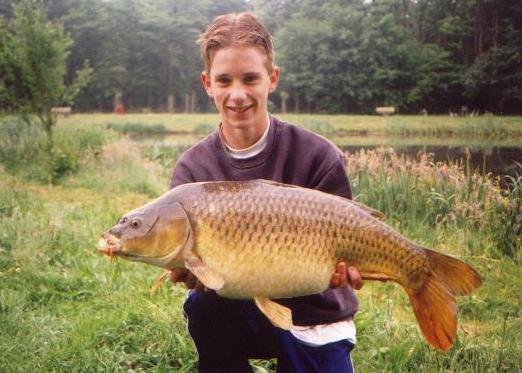 19,5 pond